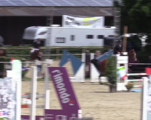 Reitturnier Schwerte-Gut Kückshausen 2024