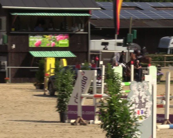 Reitturnier Schwerte-Gut Kückshausen 2024