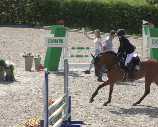Reitturnier Margarethenhof / Beckingen 2024