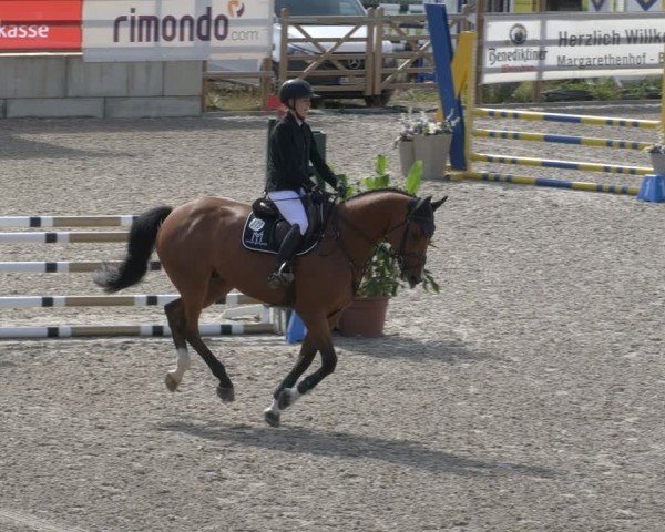Reitturnier Margarethenhof / Beckingen 2024