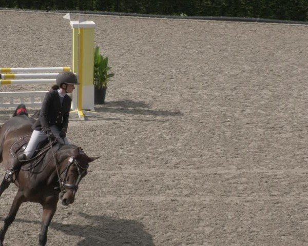 Reitturnier Margarethenhof / Beckingen 2024