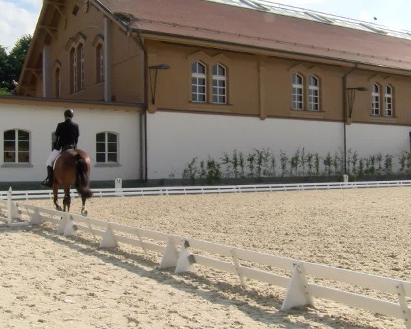 Reitturnier Avenches 2024