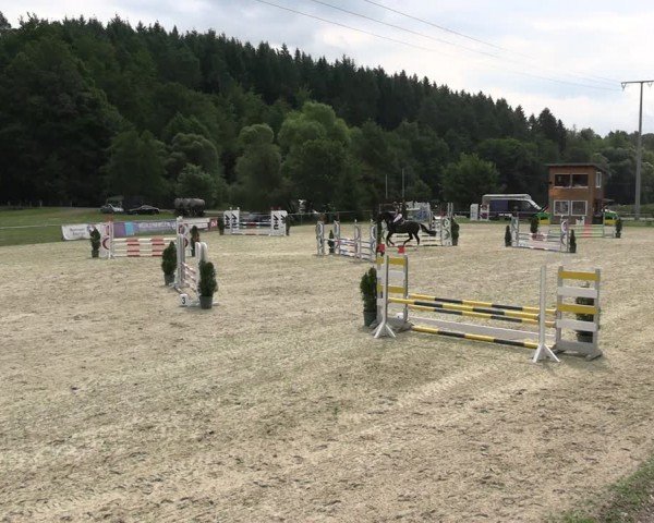 Reitturnier Bad Liebenstein/Sorga 2024