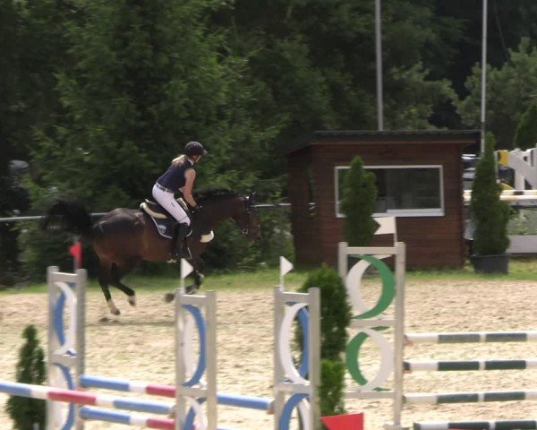 Reitturnier Bad Liebenstein/Sorga 2024