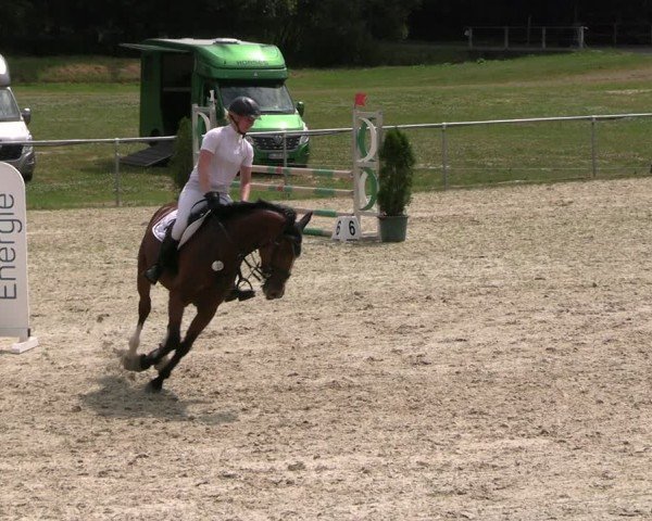Reitturnier Bad Liebenstein/Sorga 2024