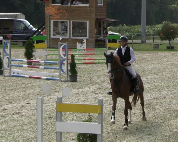 Reitturnier Bad Liebenstein/Sorga 2024
