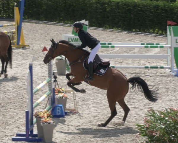 Reitturnier Margarethenhof / Beckingen 2024