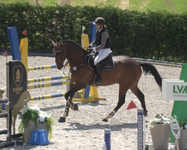 Reitturnier Margarethenhof / Beckingen 2024