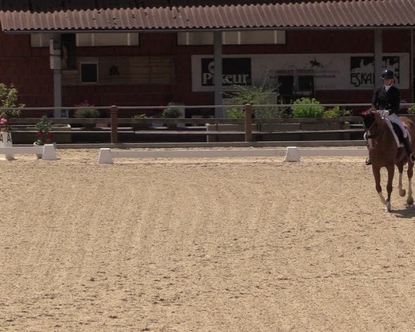Reitturnier Uder, Reitanlage Kobold 2024
