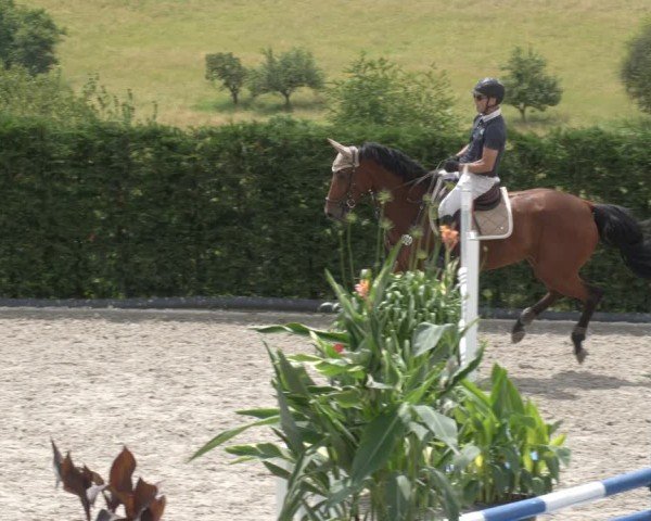 Reitturnier Margarethenhof / Beckingen 2024