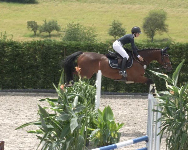 Reitturnier Margarethenhof / Beckingen 2024