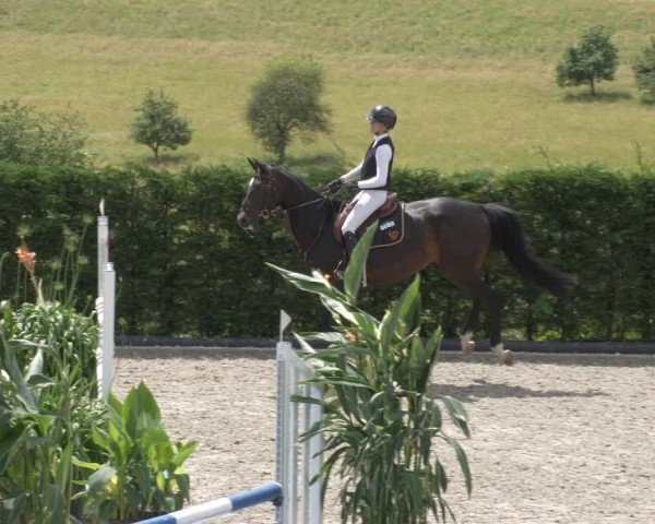 Reitturnier Margarethenhof / Beckingen 2024