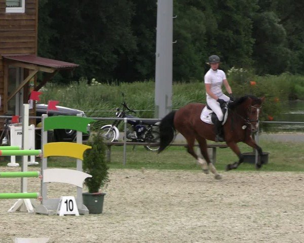 Reitturnier Bad Liebenstein/Sorga 2024