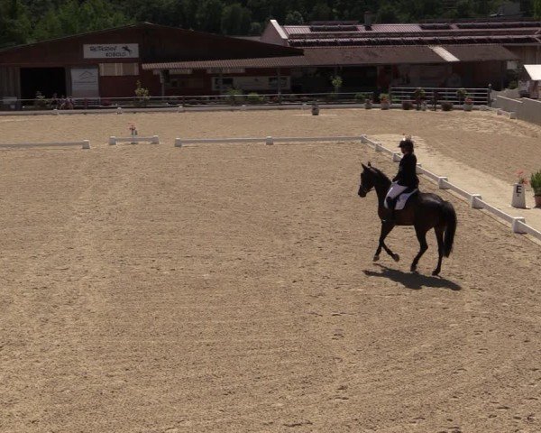 Reitturnier Uder, Reitanlage Kobold 2024