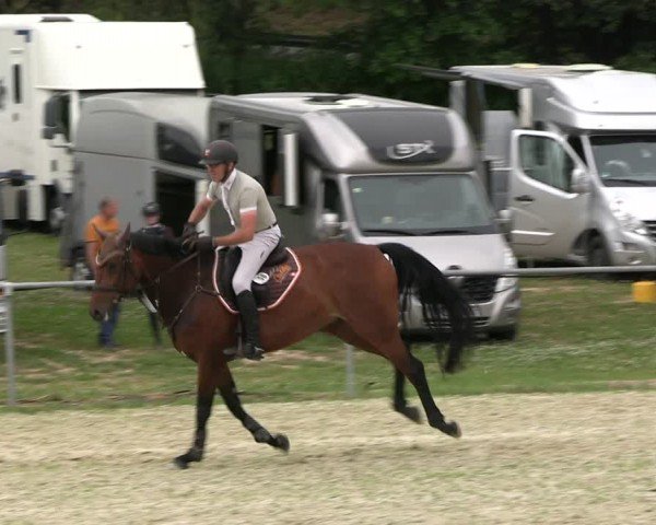 Reitturnier Bad Liebenstein/Sorga 2024