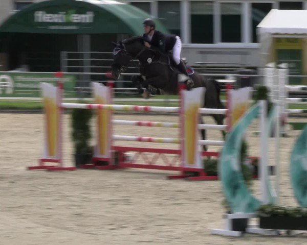 Reitturnier Langenfeld 2024