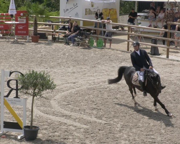 Reitturnier Margarethenhof / Beckingen 2024