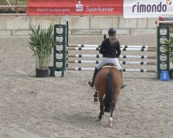 Reitturnier Margarethenhof / Beckingen 2024
