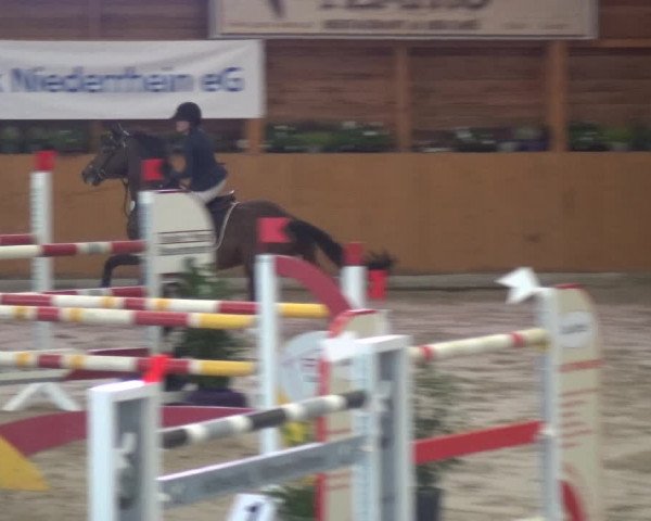 Springturnier Xanten - Reitanlage Miss 2021