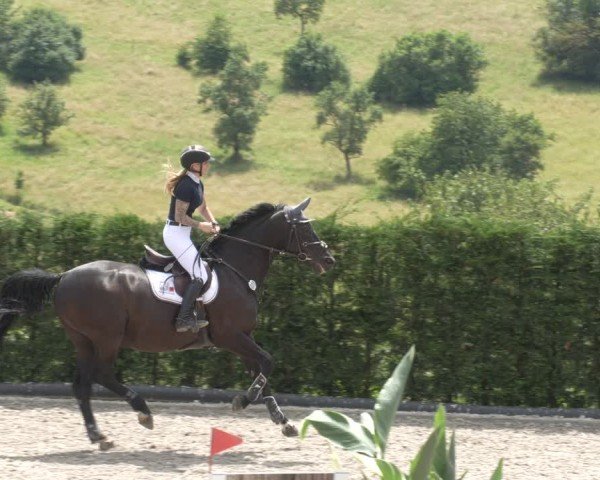 Reitturnier Margarethenhof / Beckingen 2024