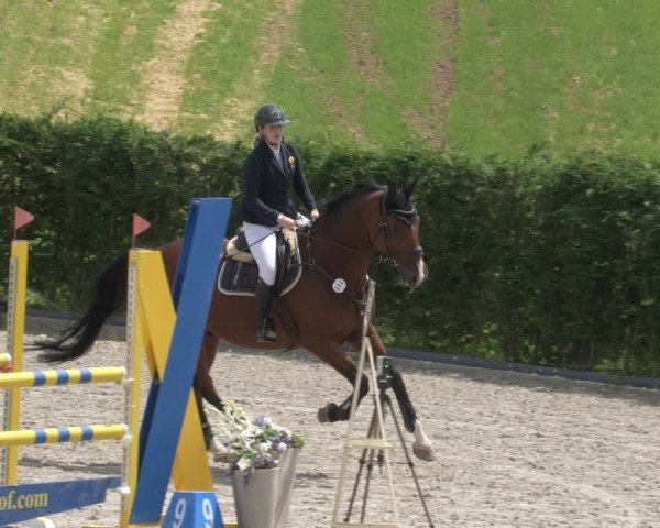 Reitturnier Margarethenhof / Beckingen 2024