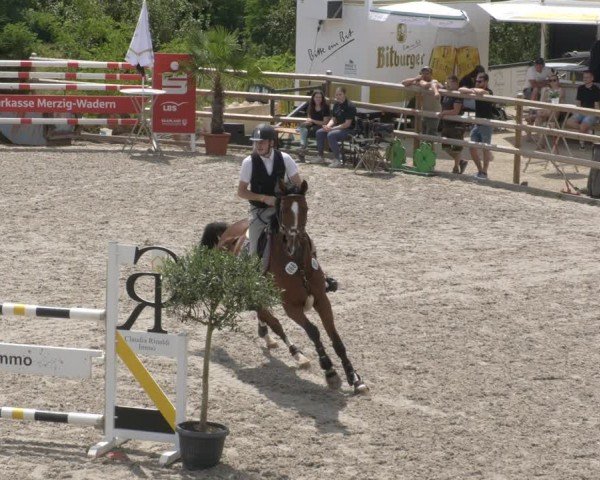 Reitturnier Margarethenhof / Beckingen 2024