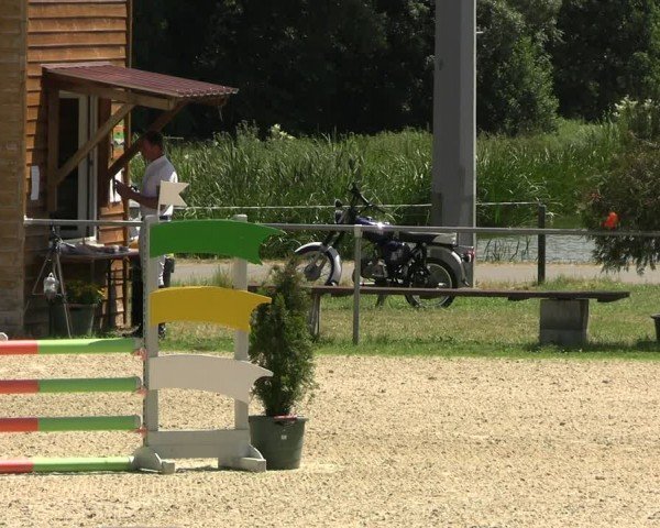Reitturnier Bad Liebenstein/Sorga 2024