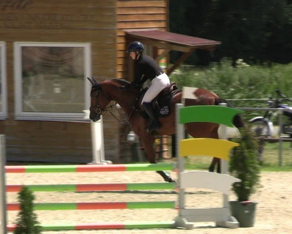 Reitturnier Bad Liebenstein/Sorga 2024