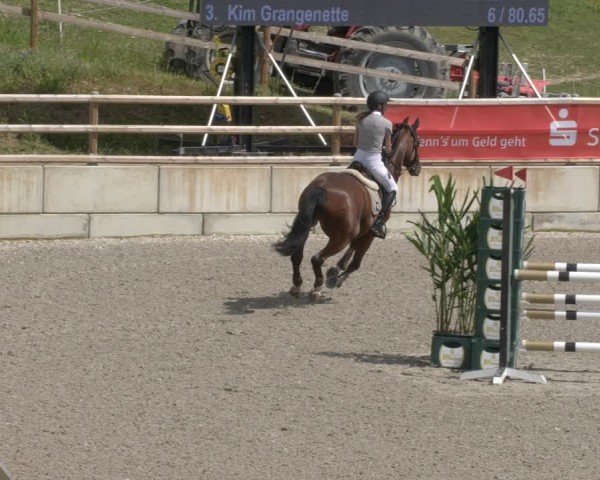 Reitturnier Margarethenhof / Beckingen 2024