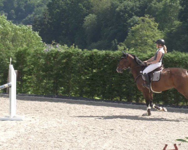 Reitturnier Margarethenhof / Beckingen 2024