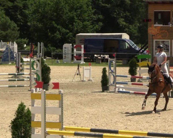 Reitturnier Bad Liebenstein/Sorga 2024