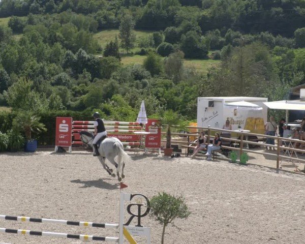 Reitturnier Margarethenhof / Beckingen 2024