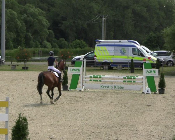 Reitturnier Bad Liebenstein/Sorga 2024