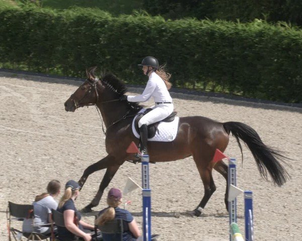 Reitturnier Margarethenhof / Beckingen 2024