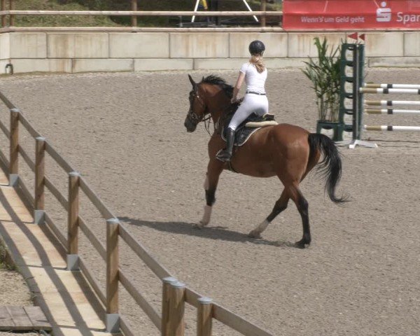 Reitturnier Margarethenhof / Beckingen 2024