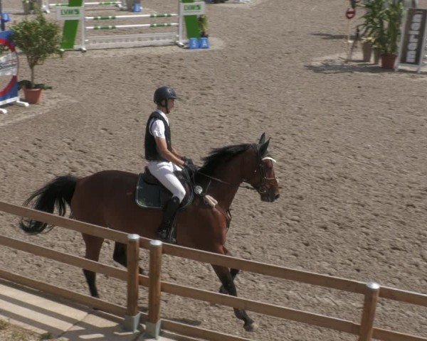 Reitturnier Margarethenhof / Beckingen 2024