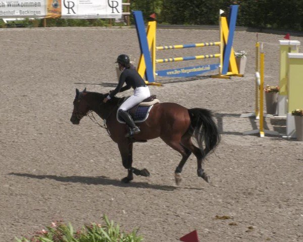 Reitturnier Margarethenhof / Beckingen 2024