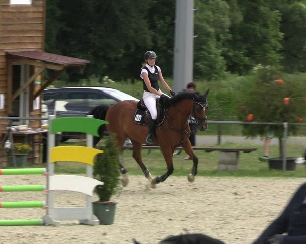 Reitturnier Bad Liebenstein/Sorga 2024