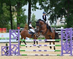 jumper Eiskönigin CT (Hanoverian, 2019, from Eldorado van de Zeshoek)