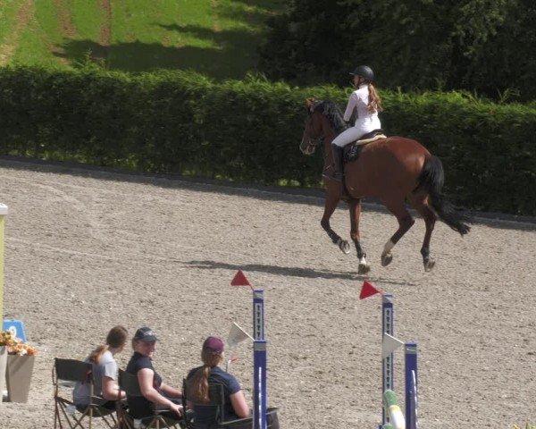 Reitturnier Margarethenhof / Beckingen 2024