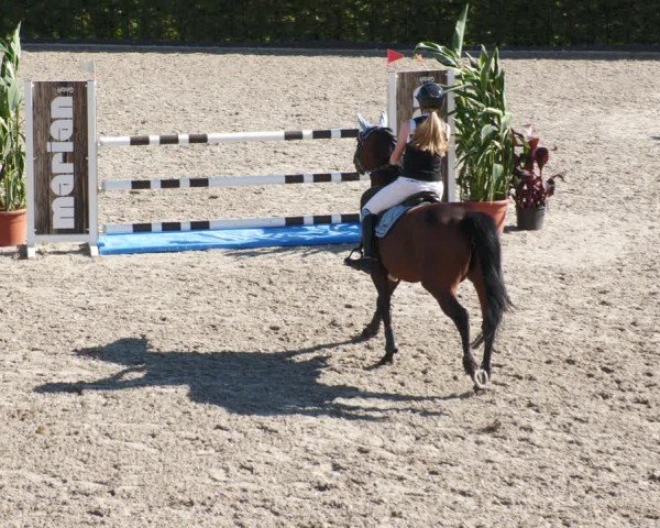 Reitturnier Margarethenhof / Beckingen 2024