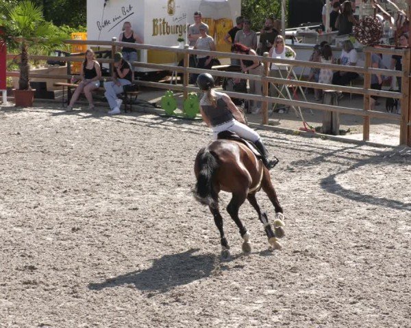 Reitturnier Margarethenhof / Beckingen 2024