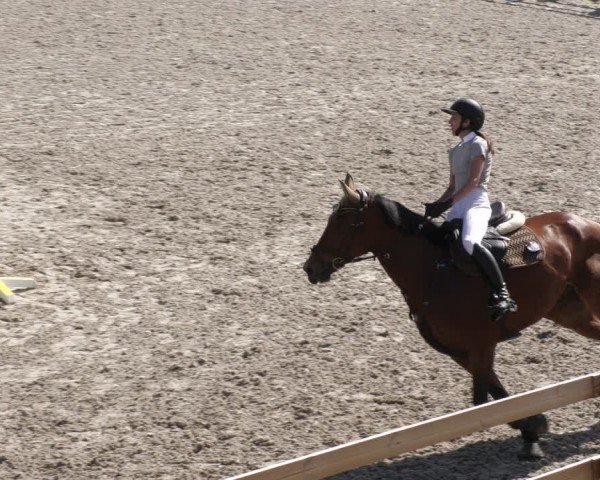 Reitturnier Margarethenhof / Beckingen 2024