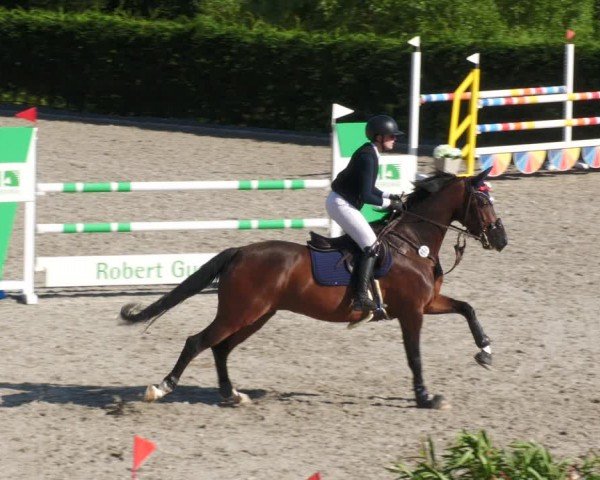Reitturnier Margarethenhof / Beckingen 2024