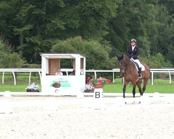 Reitturnier Grüningen 2024