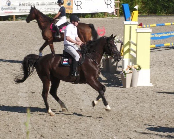 Reitturnier Margarethenhof / Beckingen 2024