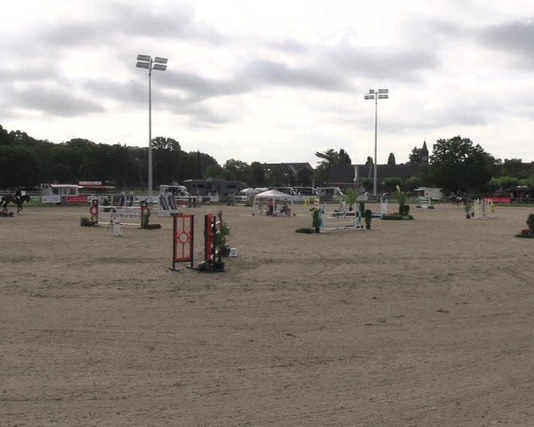 Reitturnier Langenfeld 2024