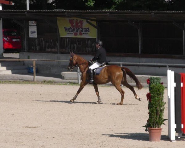 Reitturnier Ingolstadt-Hagau/Obb. 2024