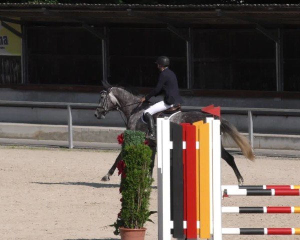 Reitturnier Ingolstadt-Hagau/Obb. 2024