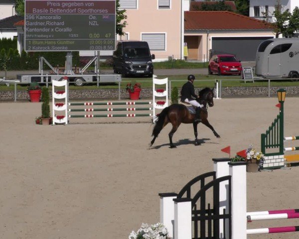 Reitturnier Ingolstadt-Hagau/Obb. 2024